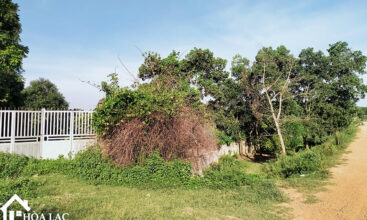 1000m dong trang co dong 1