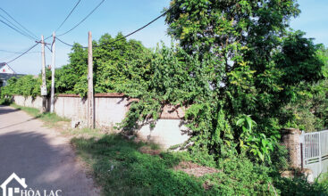 1000m dong trang co dong 3