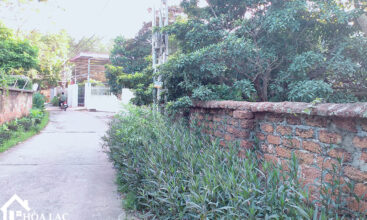 1136 doi vua son dong 1