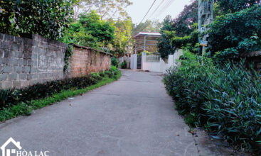 Sơn Đông - Diện tích 1136m2, chính chủ bán chưa qua tay nhà đầu tư