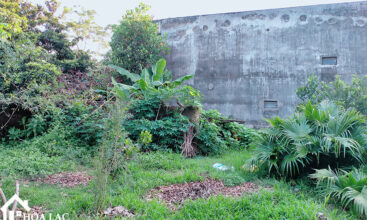 1136 doi vua son dong 3