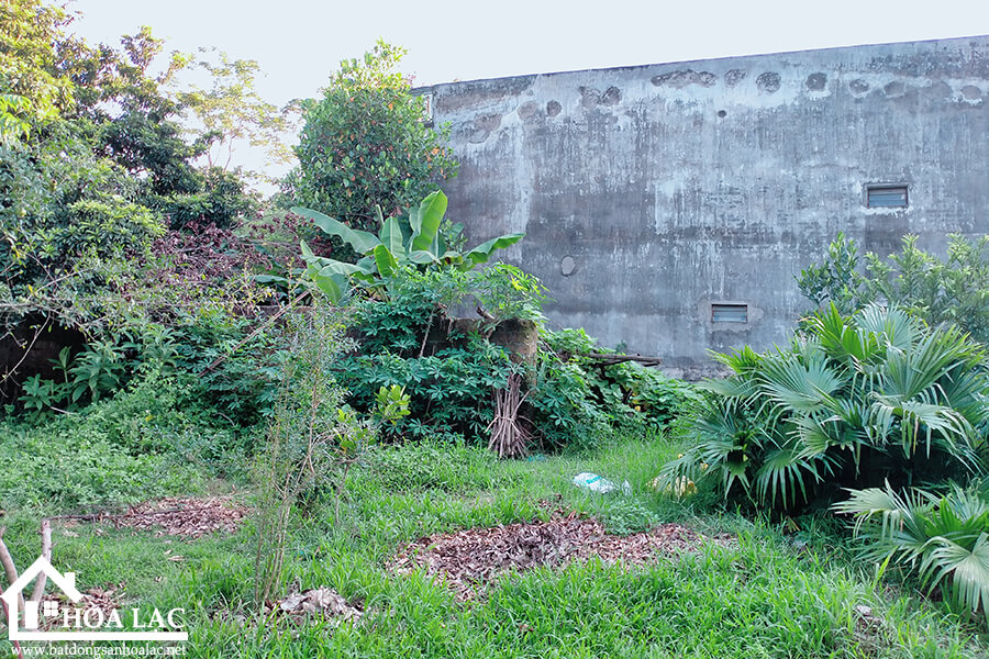 1136-doi-vua-son-dong (3) 1136 doi vua son dong 3