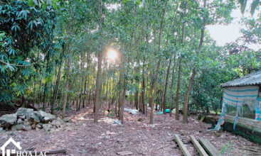 1136 doi vua son dong 4