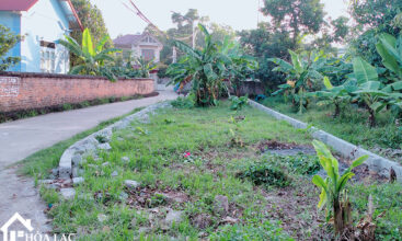 139 doi vua son dong 2