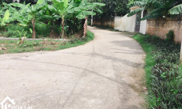 139 doi vua son dong 5