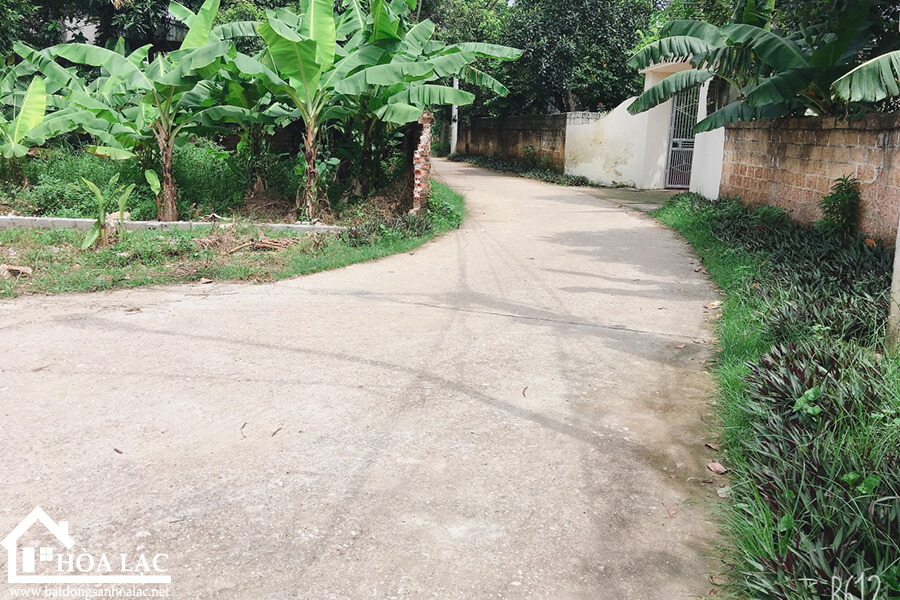 139-doi-vua-son-dong (5) 139 doi vua son dong 5