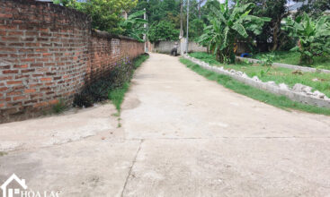 139 doi vua son dong 6