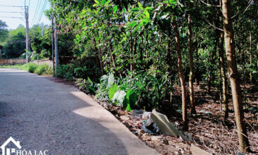 209m dong trang co dong 2