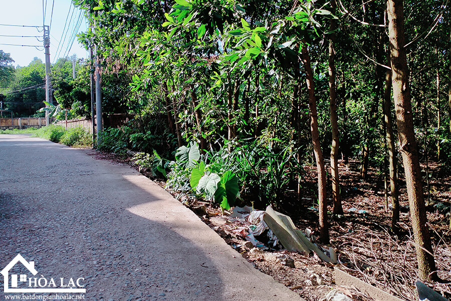 209m-dong-trang-co-dong (2) 209m dong trang co dong 2