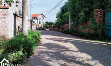 209m dong trang co dong 4