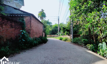 209m dong trang co dong 5