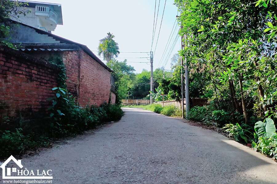 209m-dong-trang-co-dong (5) 209m dong trang co dong 5