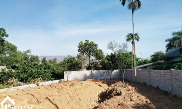 250 dong trang co dong 1