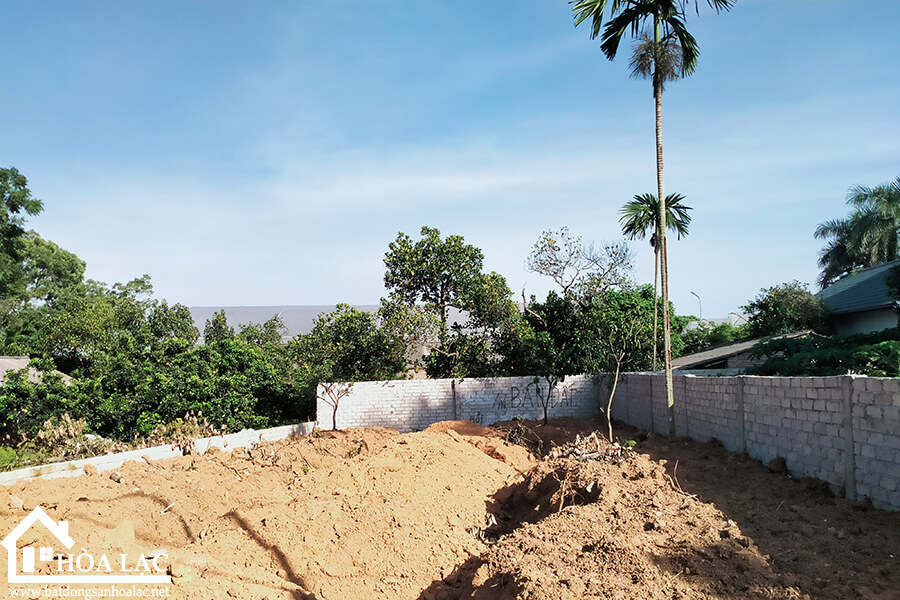 250-dong-trang-co-dong (1) 250 dong trang co dong 1