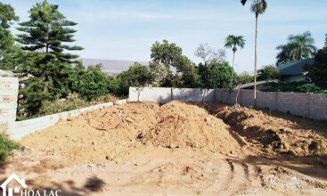 250 dong trang co dong 2