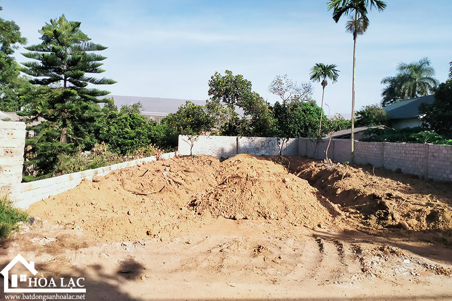 250-dong-trang-co-dong (2) 250 dong trang co dong 2