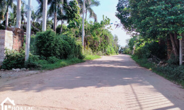 250 dong trang co dong 3