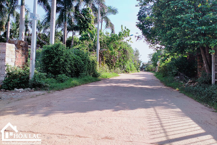 250-dong-trang-co-dong (3) 250 dong trang co dong 3