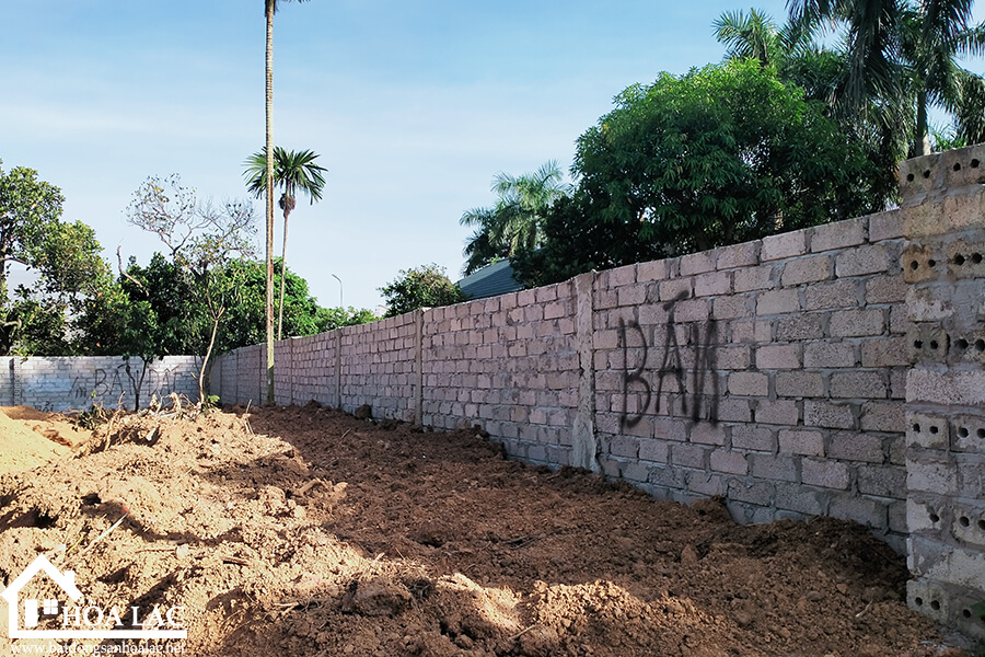 250-dong-trang-co-dong (4) 250 dong trang co dong 4