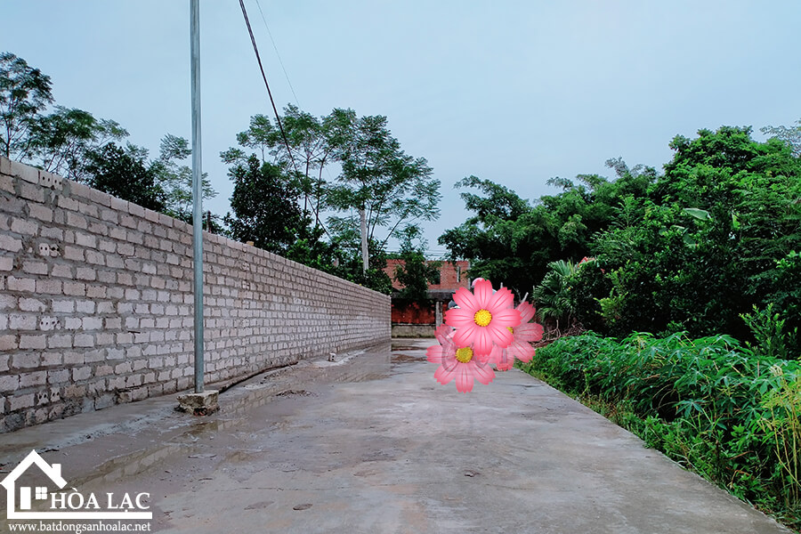 308m2-thon7-tan-xa-thach-that (4) 308m2 thon7 tan xa thach that 4