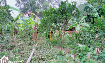 308m2 thon7 tan xa thach that 5