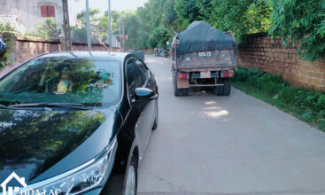 465 dong trang co dong 1