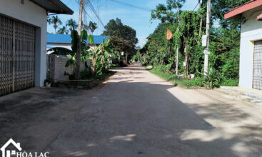 465 dong trang co dong 2