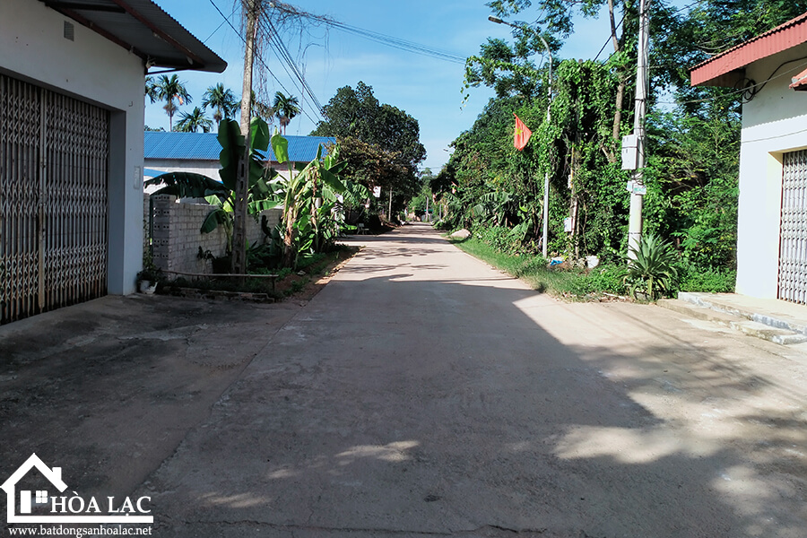 465-dong-trang-co-dong (2) 465 dong trang co dong 2