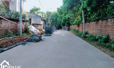 465 dong trang co dong 3