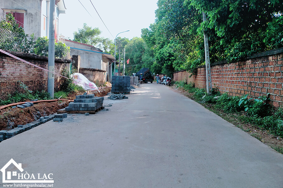 465-dong-trang-co-dong (3) 465 dong trang co dong 3