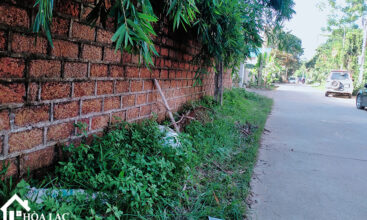 465 dong trang co dong 5