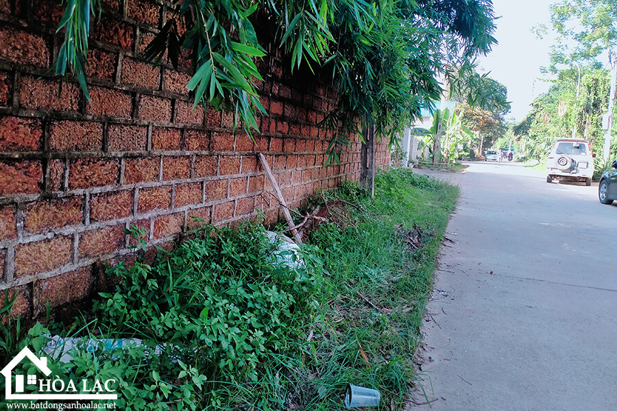 465-dong-trang-co-dong (5) 465 dong trang co dong 5