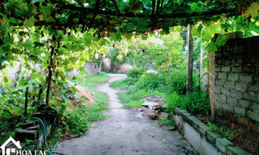 Sơn Đông - Chủ muốn bán gấp 720m2, 100m2 thổ cư, giá thấp nhất khu vực