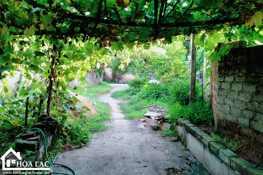 720-doi-vua-co-dong (2) 720 doi vua co dong 2