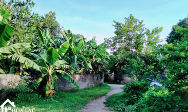 720 doi vua co dong 3