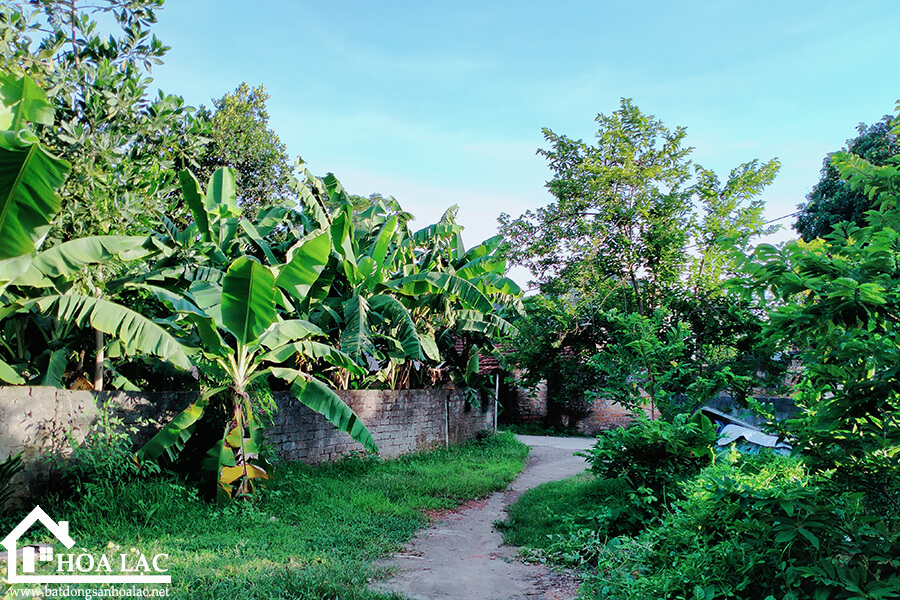 720-doi-vua-co-dong (3) 720 doi vua co dong 3