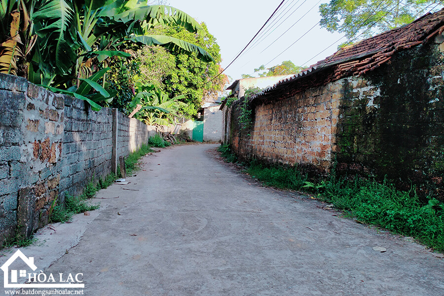 720-doi-vua-co-dong (6) 720 doi vua co dong 6