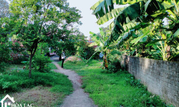 720 doi vua co dong 7