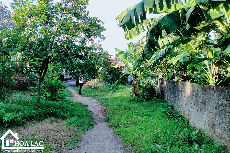 720-doi-vua-co-dong (7) 720 doi vua co dong 7