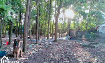 Sơn Đông - Mặt tiền cực rộng 30m, đất nằm trên trục chính hai ô tô tránh nhau