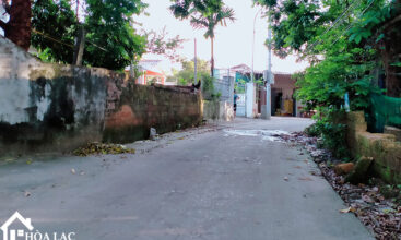 875 doi vua co song 3