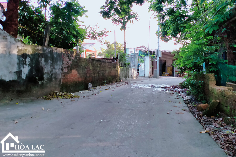 875-doi-vua-co-song (3) 875 doi vua co song 3