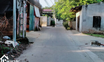 875 doi vua co song 4