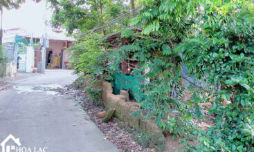 875 doi vua co song 5