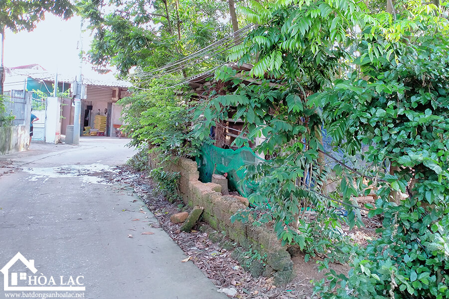 875-doi-vua-co-song (5) 875 doi vua co song 5