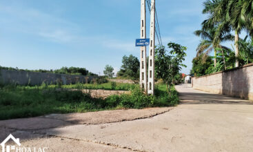 920 dong trang co dong 1