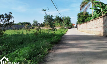 920 dong trang co dong 3