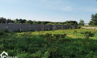 920 dong trang co dong 4