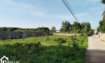 920 dong trang co dong 5