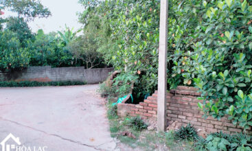 969 tan an co dong 2